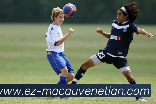 多媒体互动体验